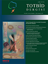 TOTBİD Dergisi